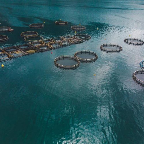 aerial-view-fish-farm-sea-water-summer-time